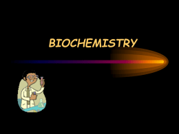 SHOW Biochemistry- atoms, acids,macro