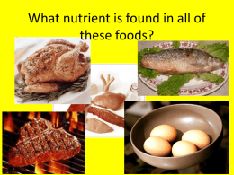 Protein PPT Editted