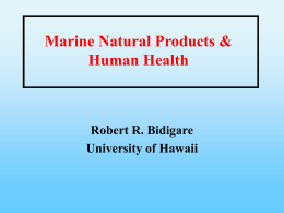CMMED Research Activities Robert Bidigare University of Hawaii
