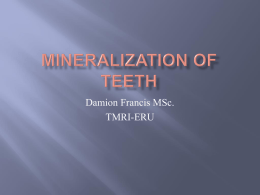 mineralization of teeth
