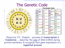 Genetic Code Notes