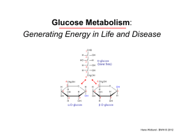 Glucose Metabolism: Generating Energy in Life and Disease