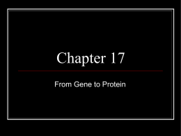 Chapter 17 Presentation