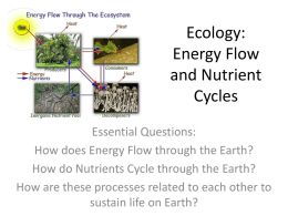 Ecology: Energy Flow and Nutrient Cycles