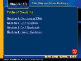 Chapter 10: DNA-RNA and Protein Synthesis PPT