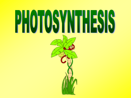 2. Photoautotrophs = use light as source of