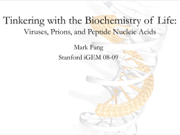 Viruses, Prions, and Peptide Nucleic Acids