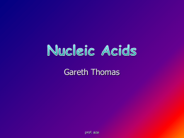 Nucleic Acids - Farmasi Unand