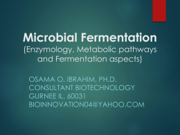 Microbial fermentation (Enzymology,metabolic pathways and