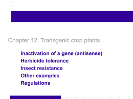 BT202 Fundamental_Genetics