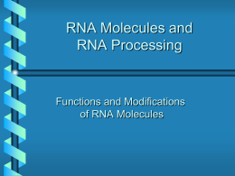 DNA, RNA and Protein