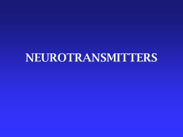 L23-Neurotransmitter