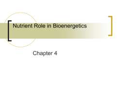 Nutrient Role in Bioenergetics