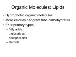 Lipids,proteins, and nucleic acids
