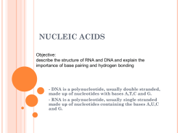 nucleic acids - onlinebiosurgery