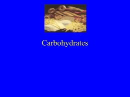 Lecture 3 Carbs