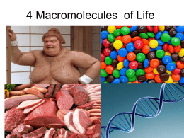 Macromolecules Notes