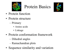 Protein Basics