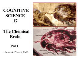 The Chemical Brain - Part 2