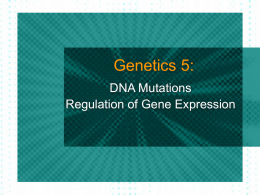 SBI 4U Genetics 5