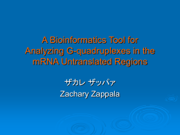 A Bioinformatics Tool for Analyzing G