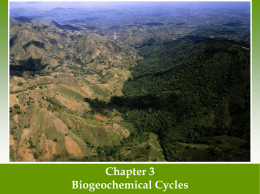 Ch 3 Biogeochemical powerpoint