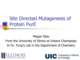 Megan Silas - University of Illinois at Chicago