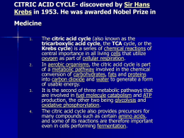 CITRIC ACID CYCLE- discovered by Sir Hans Krebs in 19(1900