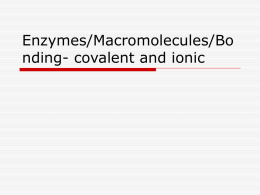 Enzymes/Macromolecules/Bonding