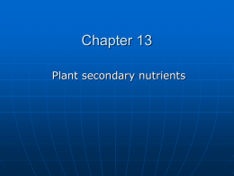 lecture 14 secondary nutrients