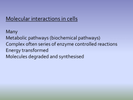 9. AH Cell Enzymes - charlestonbiology