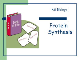 bio 12 mar 5 protein synthesis
