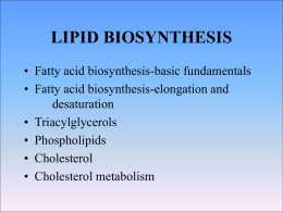 Fatty Acid Biosynthesis
