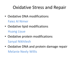 Oxidative Stress and Repair