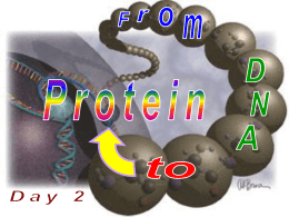 From DNA to Proteins