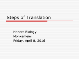 Steps of Translation - Madison Public Schools