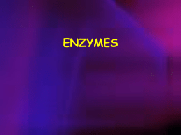 ENZYMES (Basic Concepts and Kinetics) (Chapter 8)