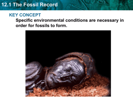12.1 The Fossil Record