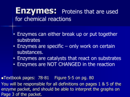 (enzyme).