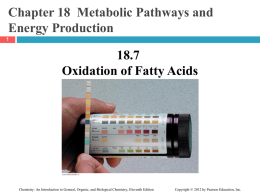 CH_18_7_Fatty_Acid_Oxidation