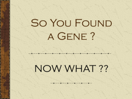 How do we determine a genes function?
