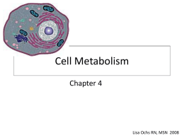 Cell Metabolism - s3.amazonaws.com