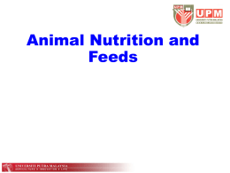 Animal Nutrition and Feeds