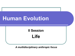 Human evolution