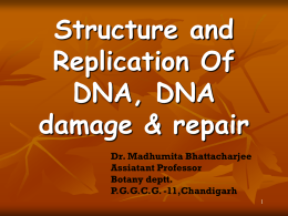 DNA str, Replication, Damage & Repair