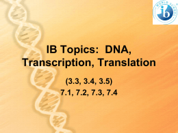 IB Topics DNA HL no writing