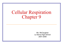 Cellular Respiration Chapter 9