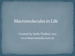 Macromolecules in Life