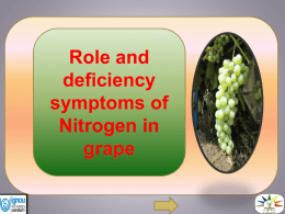 Role and deficiency symptoms of Nitrogen in grape
