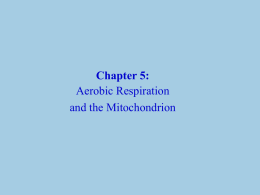 Chapter 8-1